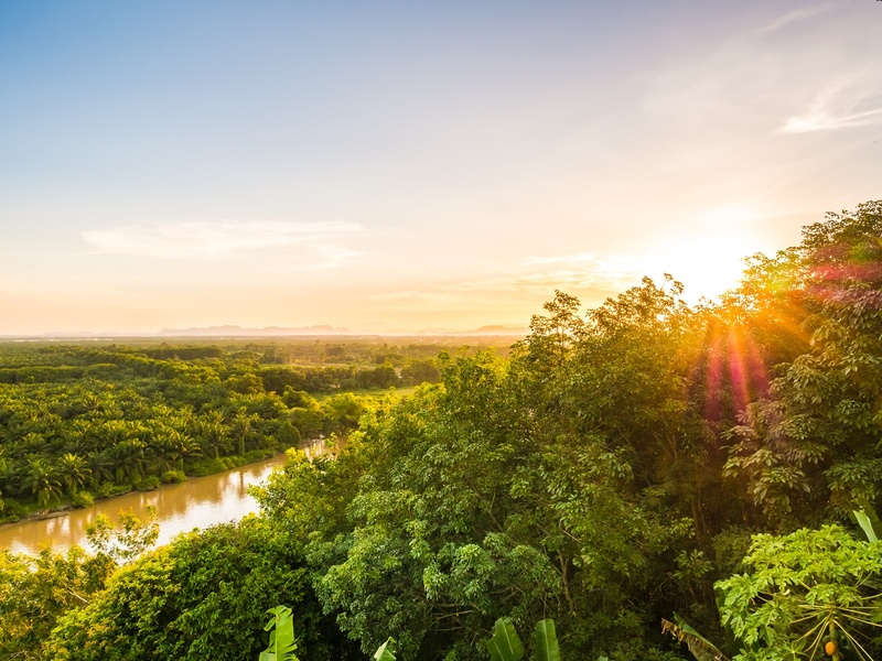 Amazônia em destaque no SPFW
